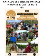 Catalogue Sales