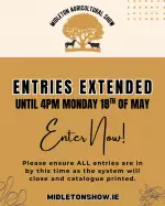 Entries Extended