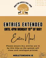 Entries Extended