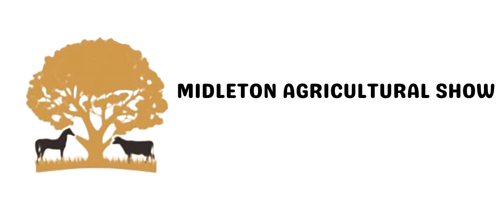 website logo