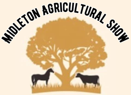 website logo